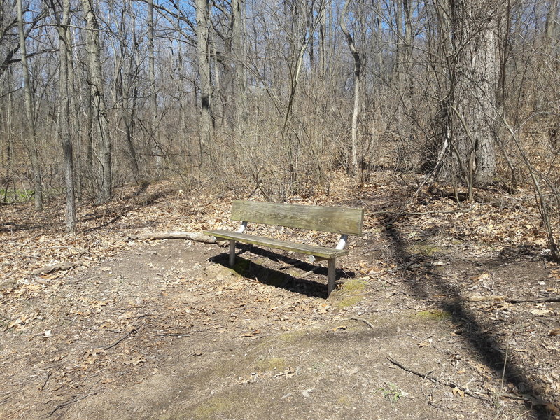 Birds often congregate on this bench along the Deer Run Trail.