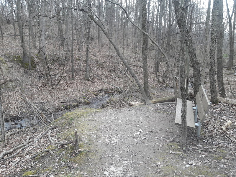 This bench offers a pleasant sit along a small creek near the largest clearing along the Chickadee Trail.