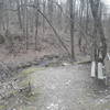 This bench offers a pleasant sit along a small creek near the largest clearing along the Chickadee Trail.