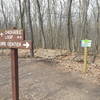 The Chickadee Trail continues along the path labeled "Fox Trail" when traveling from west to east, NOT along the trail labeled "Chickadee Loop" to the left.