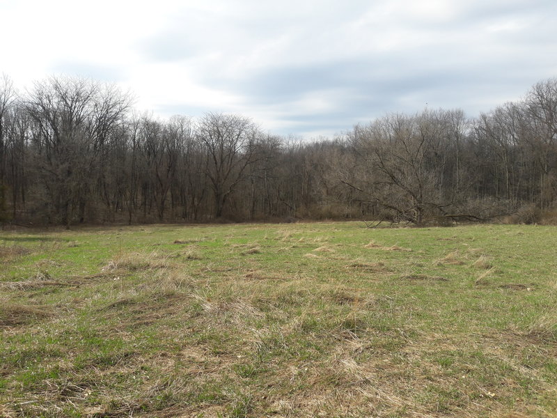 This is the largest clearing along the Chickadee Trail.