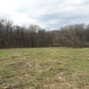 This is the largest clearing along the Chickadee Trail.