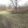 If traveling the Chickadee Trail loop east to west, this is a junction you'll come across. The trail continues along the left branch.