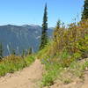 In its upper section along the alpine meadow, the Crystal Peak Trail is in wonderful shape, not to mention it boasts beautiful wildflowers in the spring!