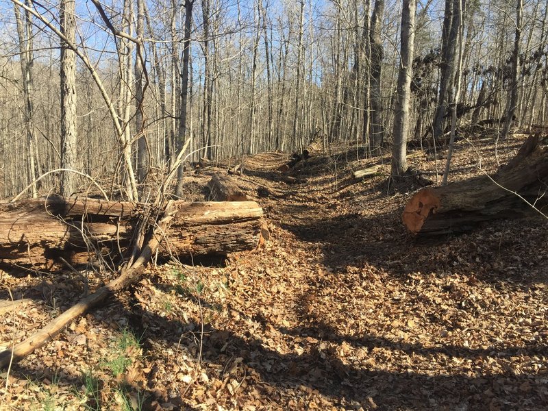 The trails are being actively maintained and kept open.