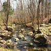 The rocky bottom of Bolin Creek follows the trail for a section.