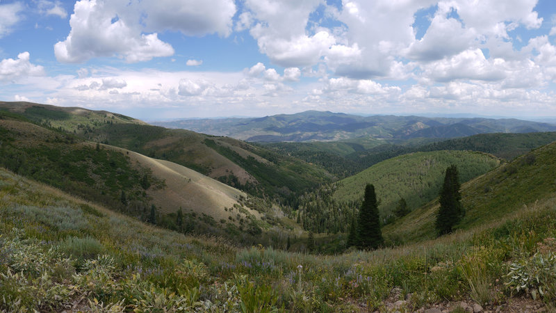 This is a 90 degree panorama centered west toward Lookout Peak from the Great Western Trail near Big Mountain.