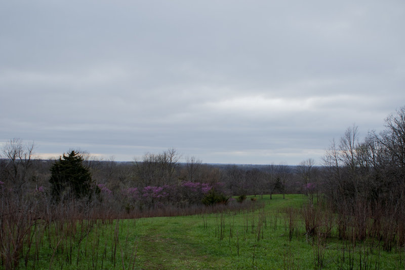 Looking back toward the campsite, enjoy this pleasant view.