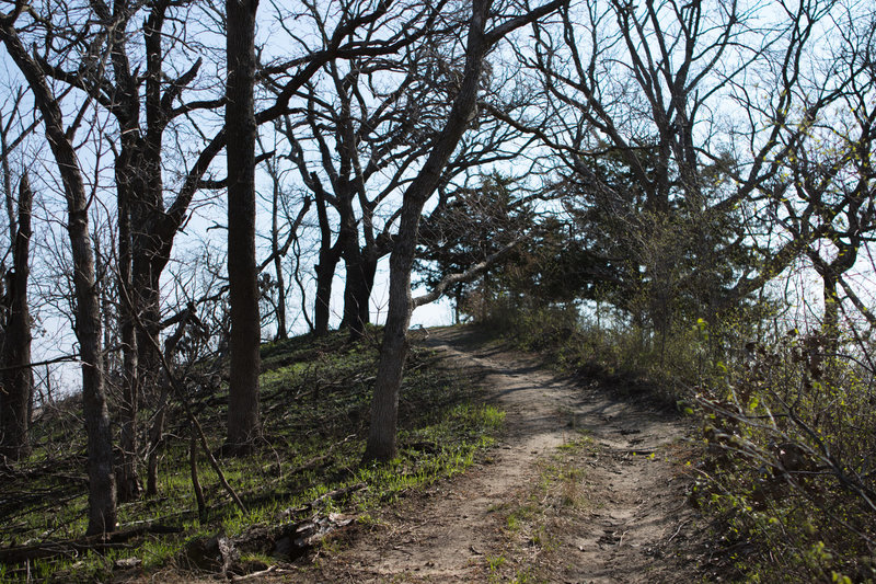 You'll encounter many hills on the Hardwood Trail.