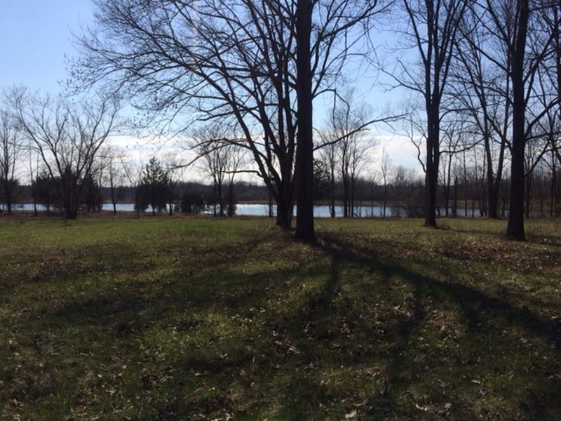 Possum Creek Blue Trail offers a great view of Argonne Lake.