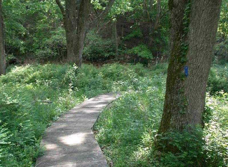 Trails in this area are well blazed and well maintained.