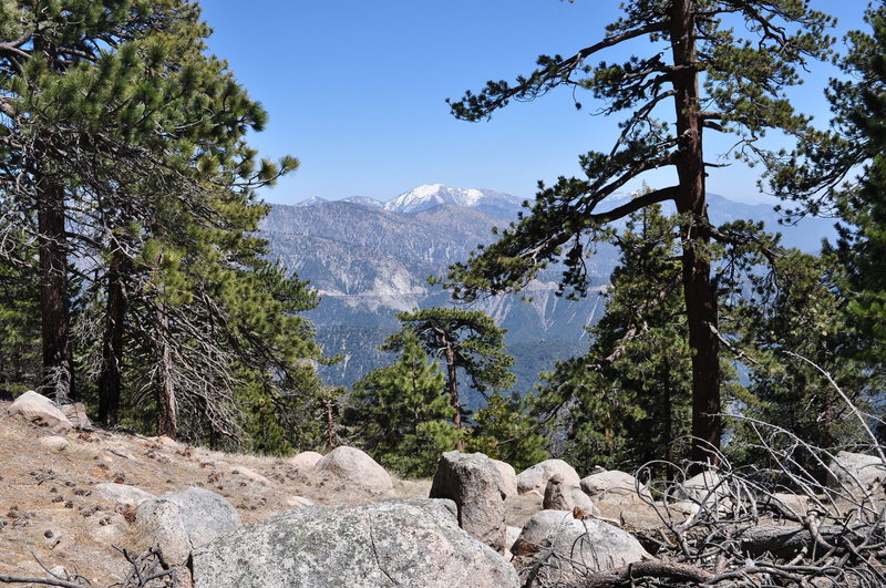 Panoramic views of Mt. Baldy are abundant along the trail to Mt. Waterman.