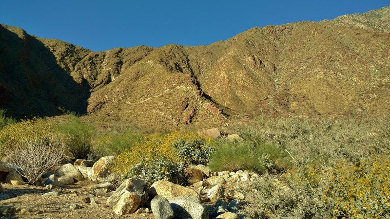 Mountains form the Palm Canyon "walls" across the stream that runs down Palm Canyon.