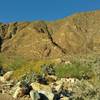 Mountains form the Palm Canyon "walls" across the stream that runs down Palm Canyon.