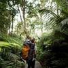 A rainforest boardwalk aids your passage to Sealers Cove.