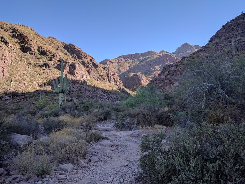 The entrance to the valley is stunning in the morning light.