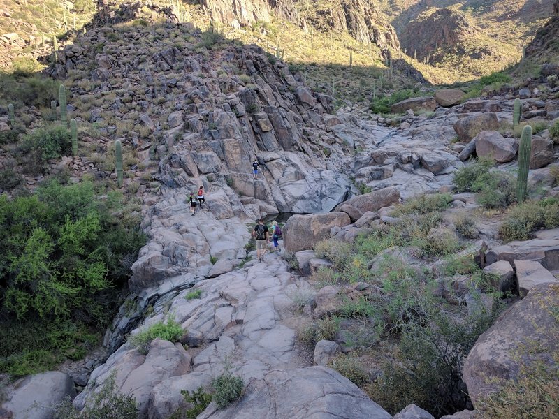 This view gives you an idea of the creek valley, one of the basins, and the general terrain along the Hieroglyphics Trail.