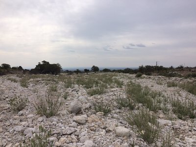 At the very start of the hike, you cross a dry river bed. It is quite wide and must be an awesome sight when water is flowing through it.