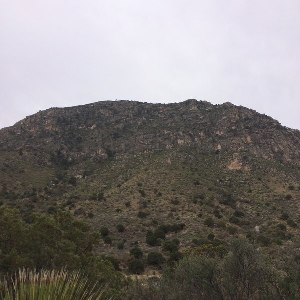 This mountain stands to the north of the Tejas Trail.