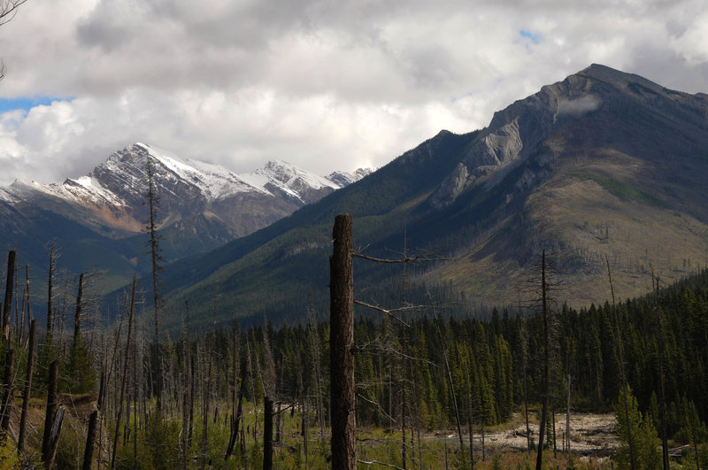 Citadel Peak is visible through the open burn area.