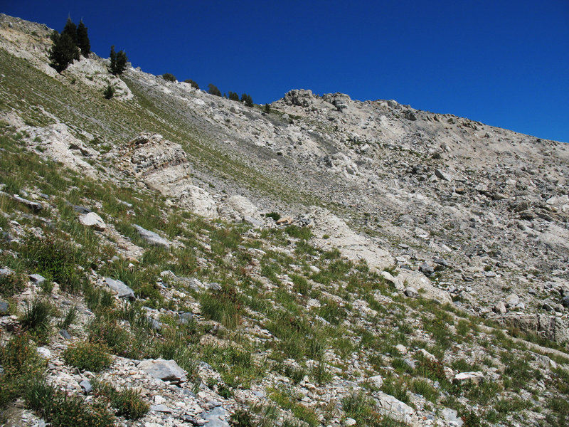 There's plenty of scree along the trail to Box Elder Peak.