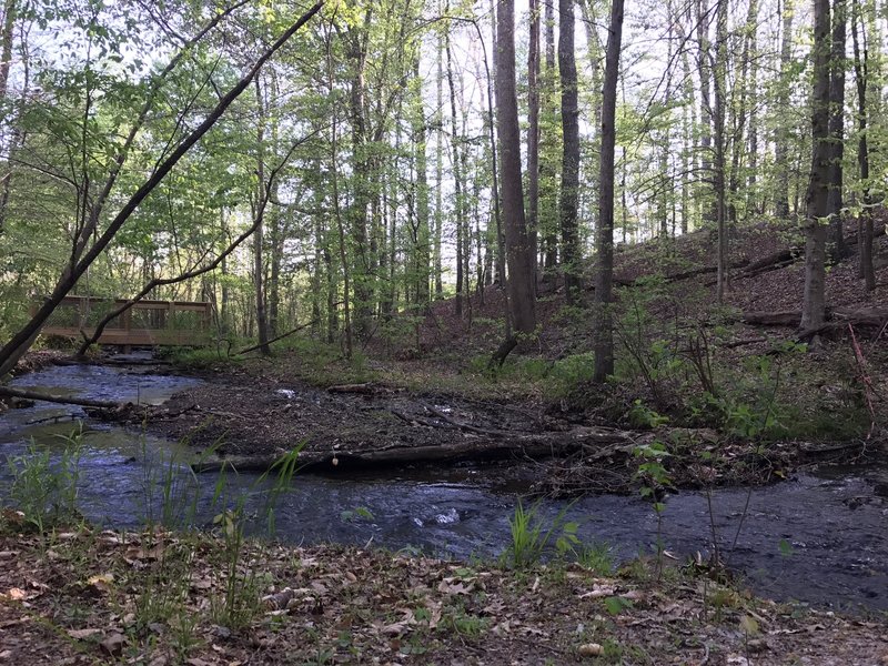 An area with a bench and a view of the creek and the bridge over the creek along the Explorer Trail.