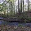 An area with a bench and a view of the creek and the bridge over the creek along the Explorer Trail.