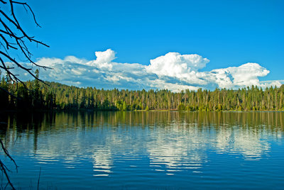 Laurel Lake is not great in itself, but 3 miles of somewhat-difficult, off-trail hiking leads to great lakes in Kendrick Canyon.