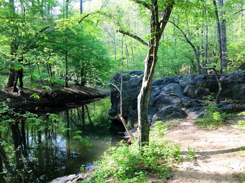 Rock outcropping on Morgan Creek.