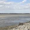 The mighty Mississippi flows beside the trail in Tunica River Park.