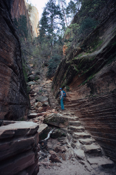 Stairs aid your passage on this part of the Hidden Canyon Trail.