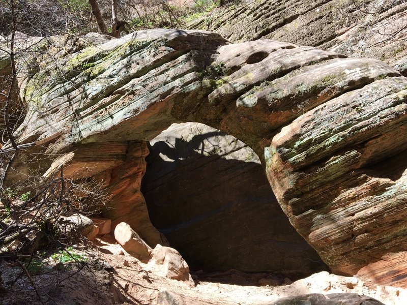 An arch survives the elements at the end of the Hidden Canyon Trail.