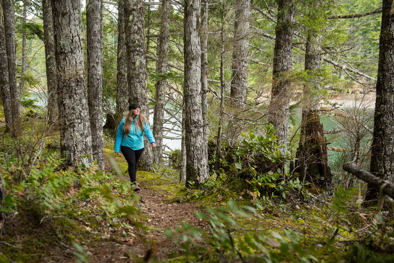 An open forest and views over the water give the North Inlet Trail a nice "coastal" feel.