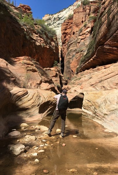 Numerous canyons appear along the East Rim Trail.