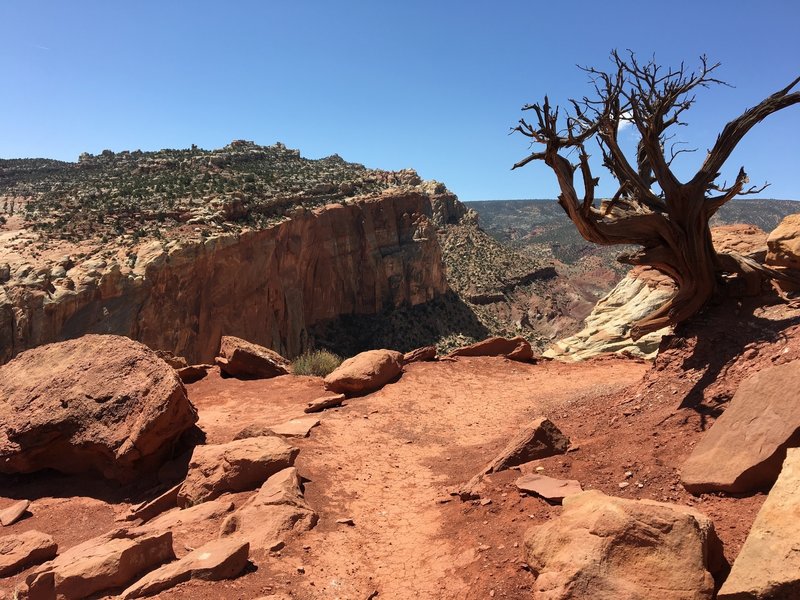 The Cassidy Arch Trail is well marked through this section.