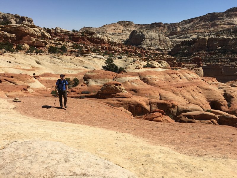 The Cassidy Arch Trail can be hard to follow in this section, so look for cairns.