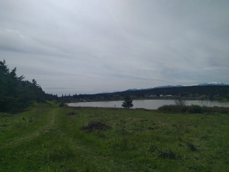 Chinese Gardens Lake and the Olympic Mountain Range provide a pleasant view from the trail.