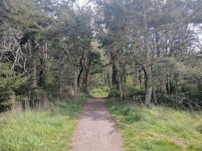 The trail leads through the trees into the park.