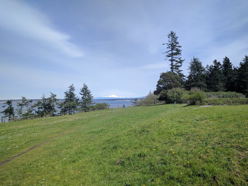 The Cascades peek through the trees in Fort Worden State Park.