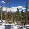 Springtime snow on the Glacier Creek Trail.