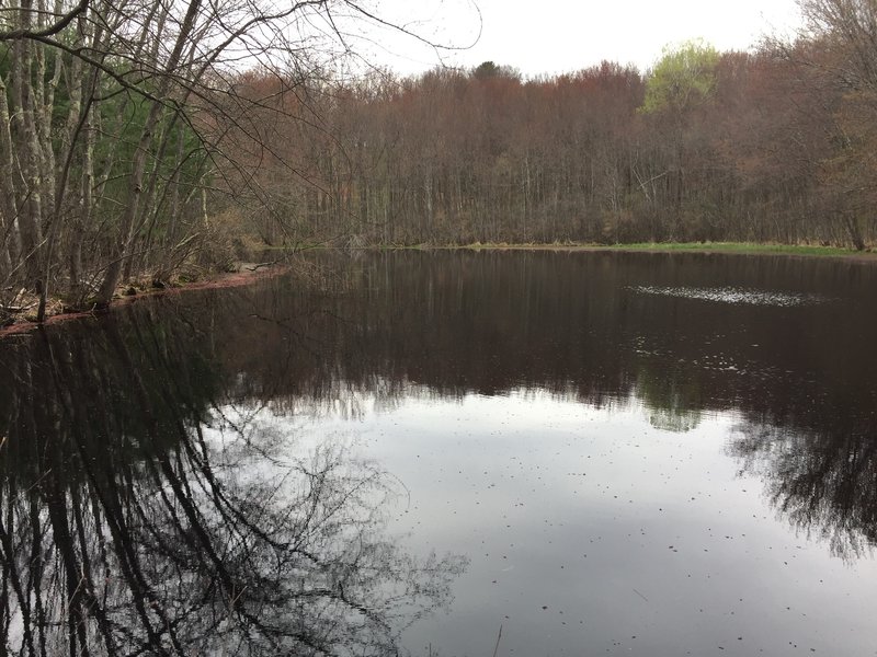 A pond greets you at the end of the trail.