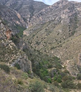 Devil's Hall Trail is down in this striking canyon.