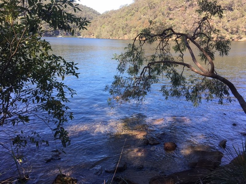 Cowan Creek is beautiful from Appletree Bay.