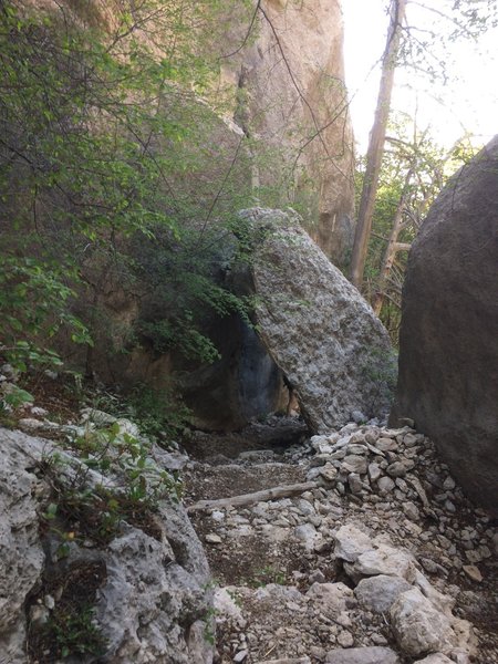 The Bear Canyon Trail passes under a "leaning boulder" in this section.