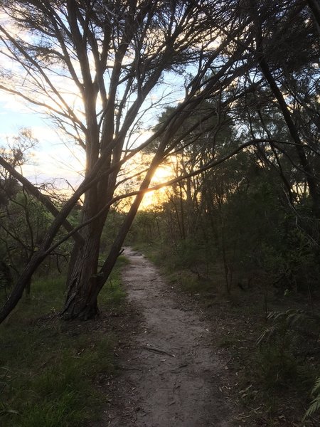 This portion of the trail gets a bit sandy.