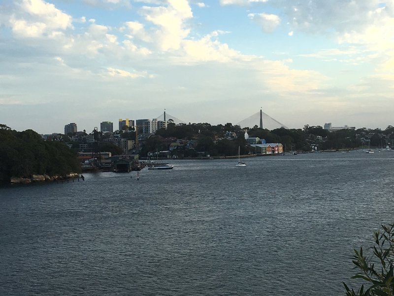 Experience beautiful views of Anzac Bridge from Balls Head Lookout.
