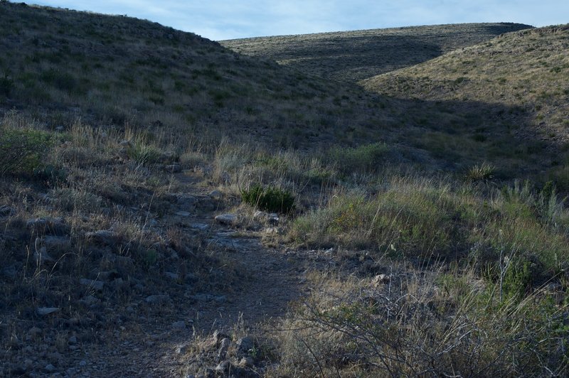The trail is singletrack and marked by cairns as it makes its way through the grass and cacti.