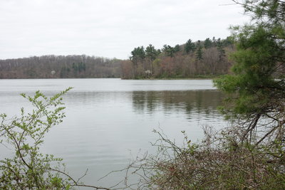 Lake Williams, William Kain Park