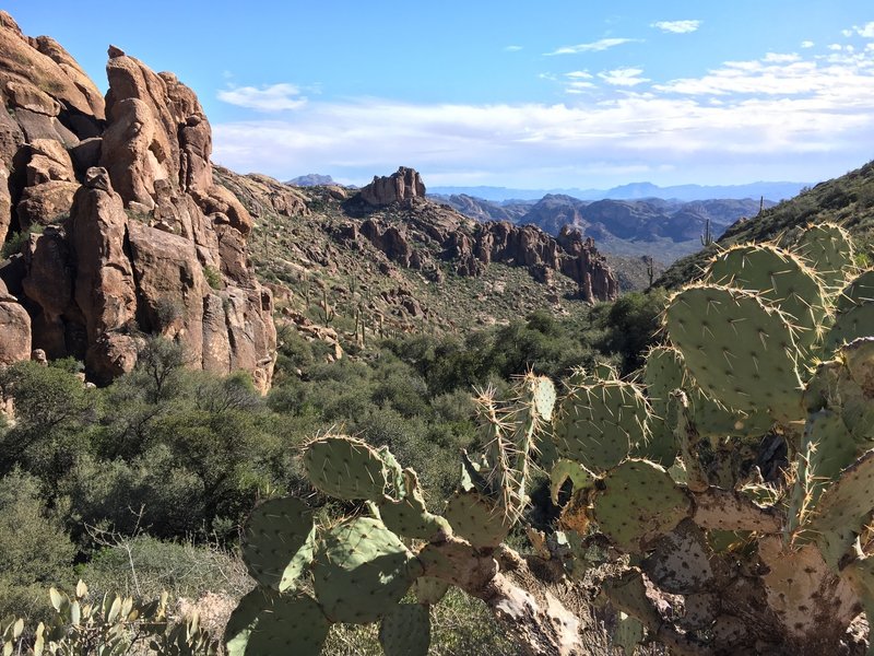 Along the Peralta Canyon Trail, you'll have a spectacular view of the mountains behind you as you're on your way to Weaver's Needle.