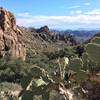 Along the Peralta Canyon Trail, you'll have a spectacular view of the mountains behind you as you're on your way to Weaver's Needle.